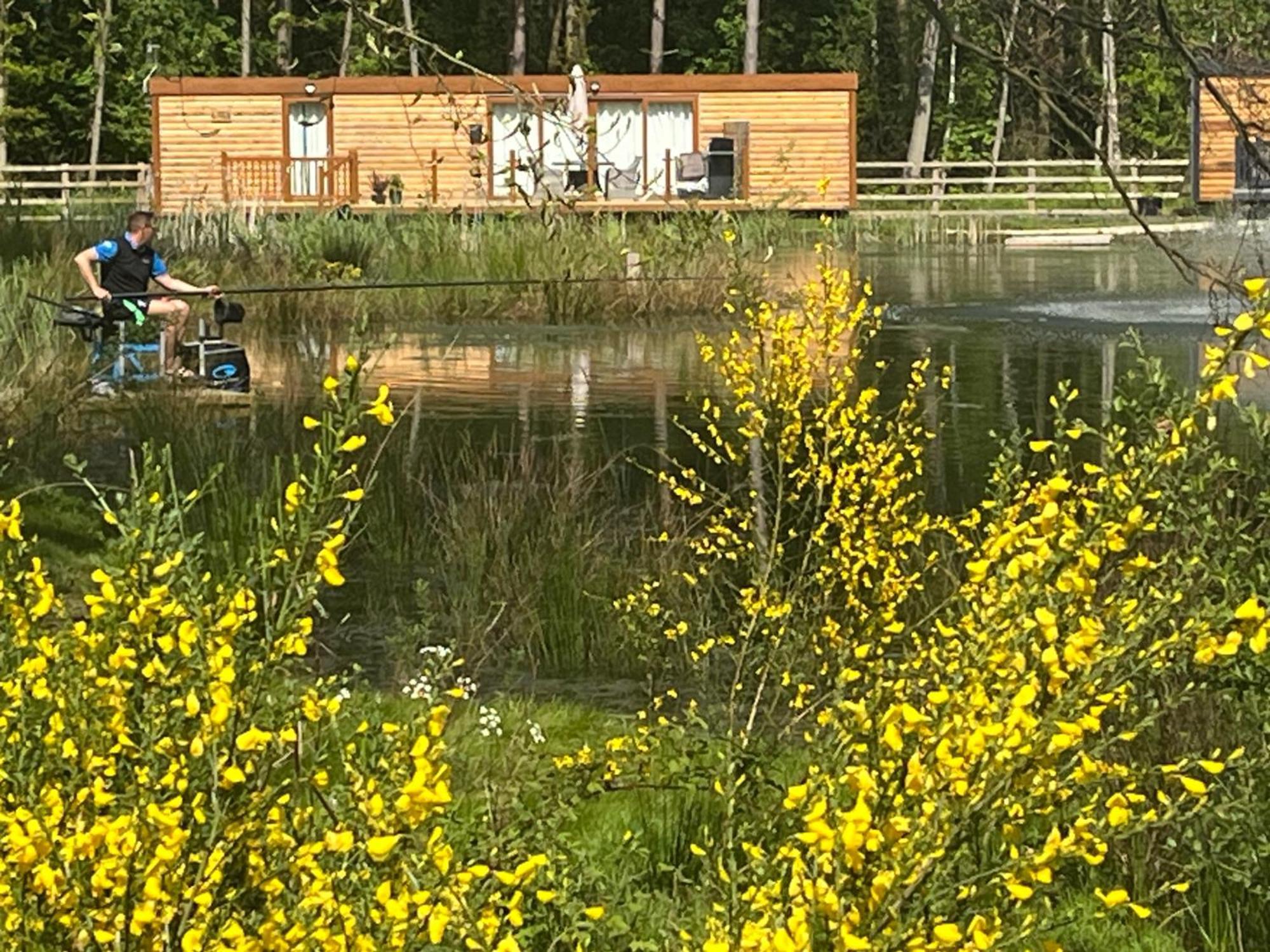 Oak Boutique Lodge Includes Hot Tub Air Con & Dog York Exterior photo